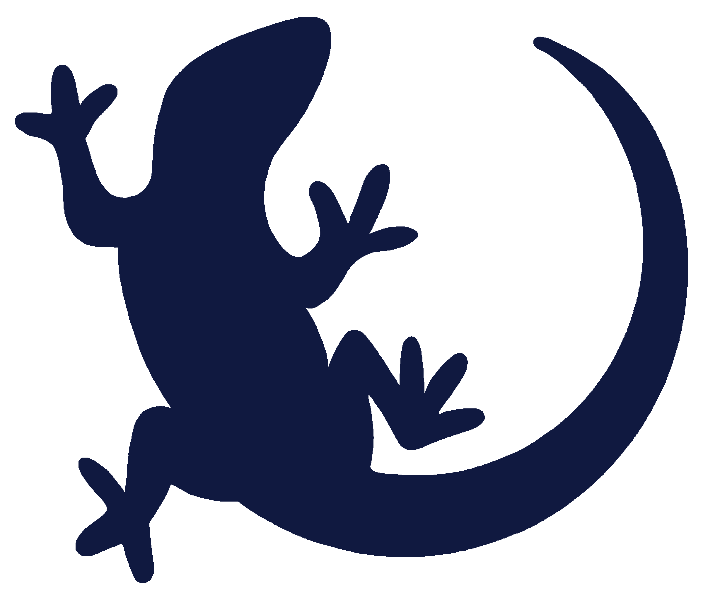 Lizard-Oxford blue
